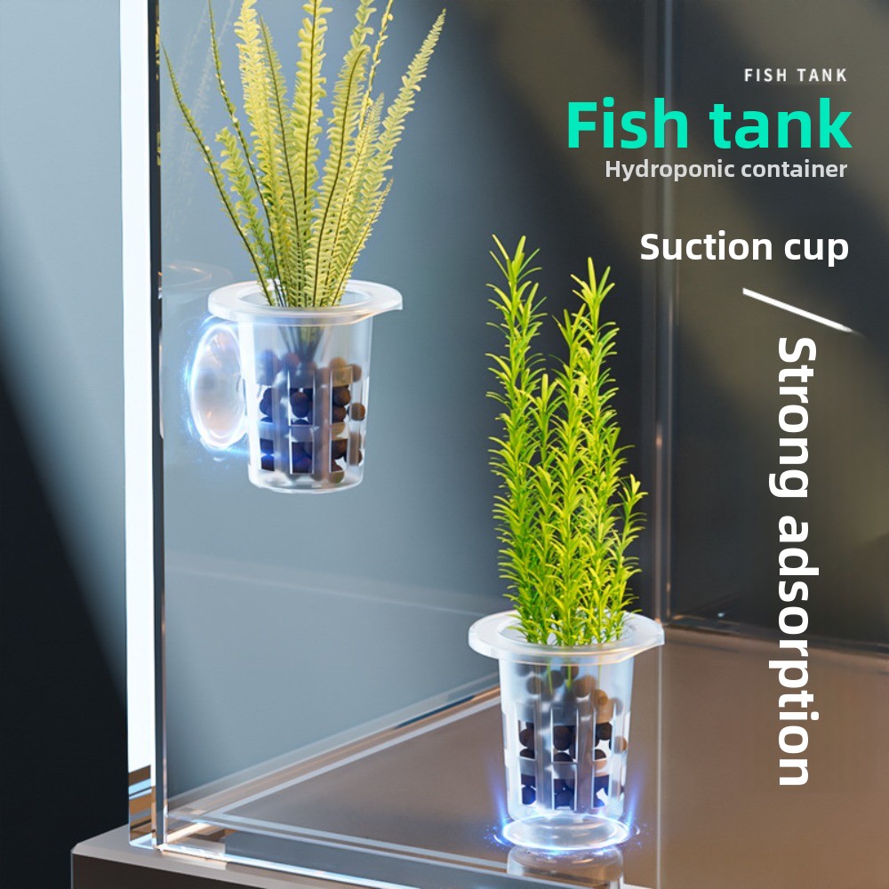 Plant Aquarium Pot - 10 adet şeffaf bitki topraksız saksı