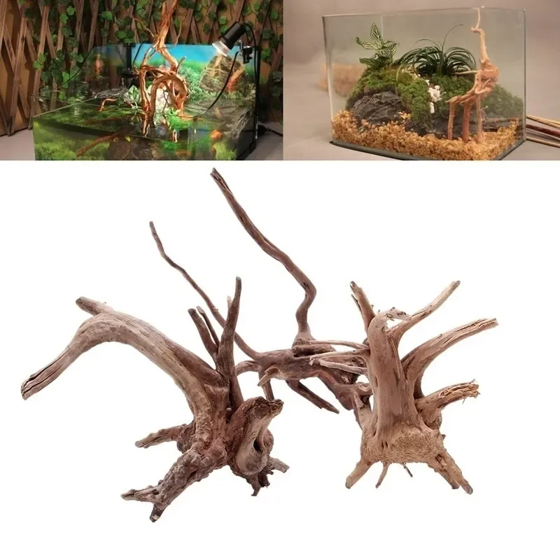 Live Plant Aquarium - Doğal ağaç gövdesi Driftwood akvaryum balık