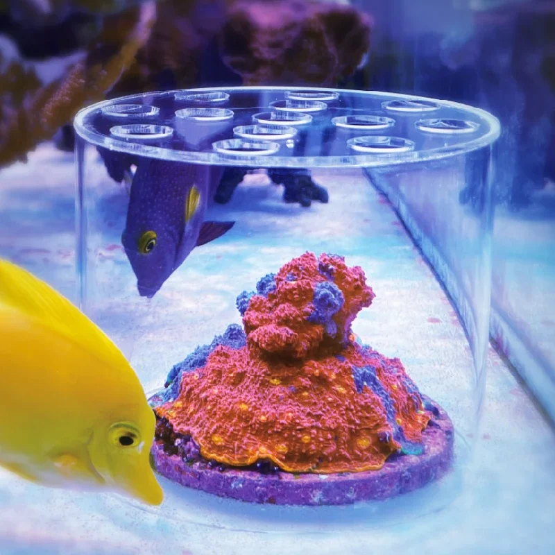 Aquarium Fertilizer - Vastocean Akvaryum Akrilik Mercan Besleyici Başlığı