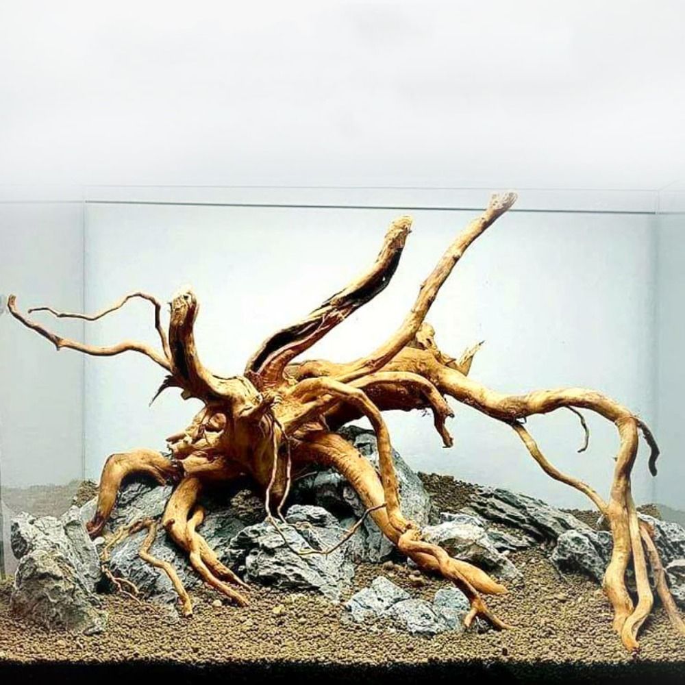 Aquarium Driftwood - 20-25CM Büyük Akvaryum Driftwood Doğal Balık