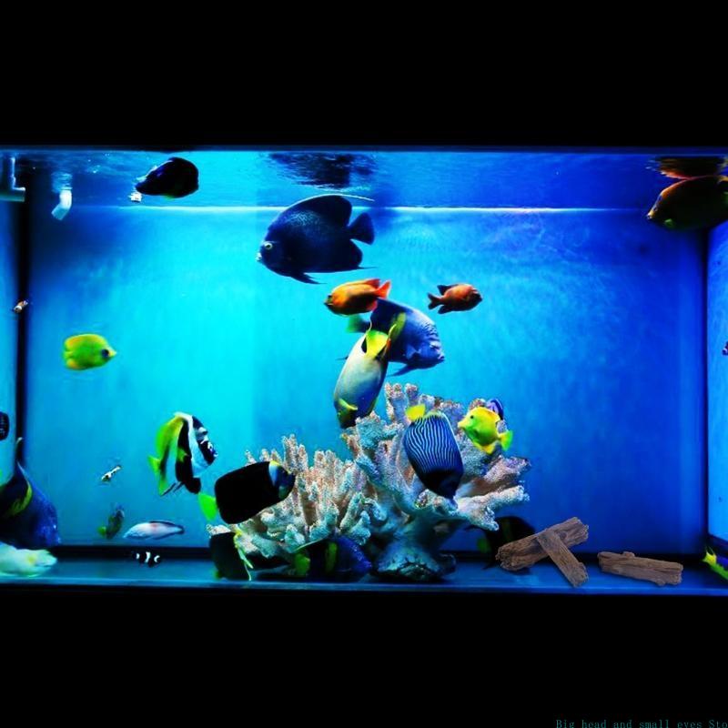 Akvaryum Dekorasyon Ağaç Gövde - Aquarium Plant Substrate incelemesi ve fiyatı