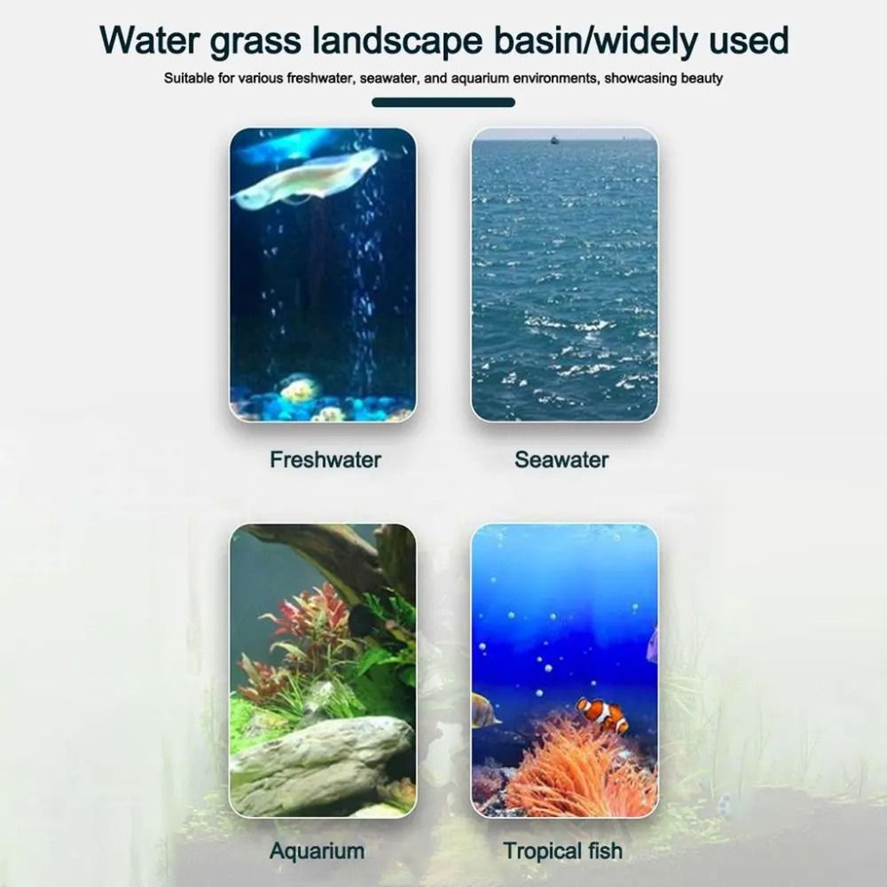 10 adet şeffaf bitki topraksız - Plant Aquarium Pot incelemesi ve fiyatı