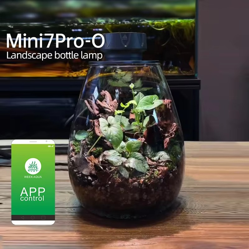 COB Mikro Peyzaj Bitki Dolgu I - Planted Tank incelemesi ve fiyatı