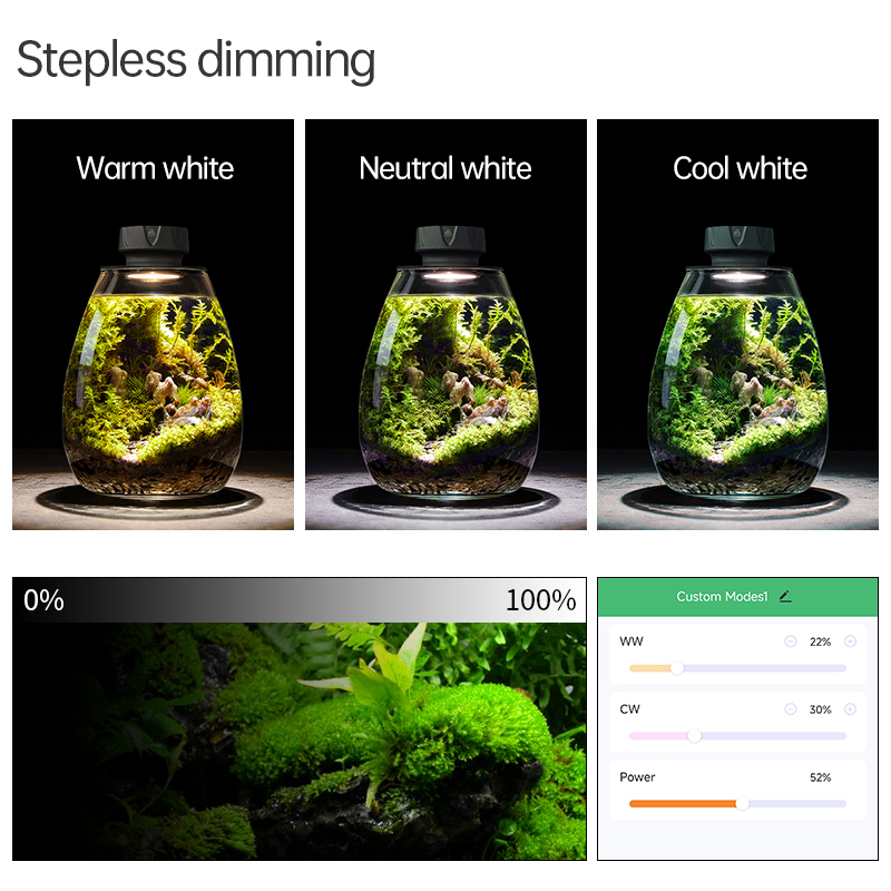 COB Mikro Peyzaj Bitki Dolgu I - Planted Tank incelemesi ve fiyatı