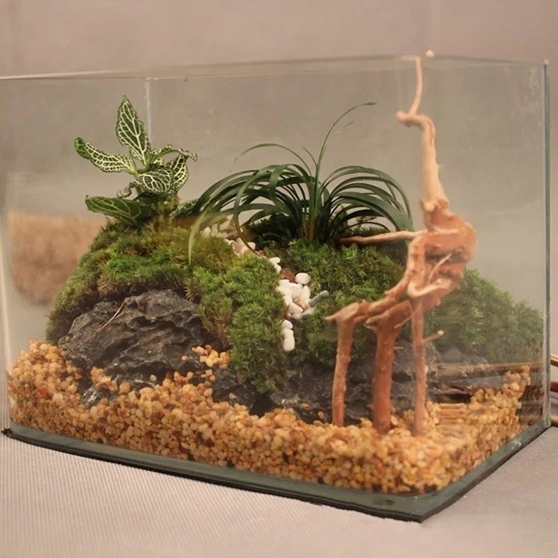 Doğal ağaç gövdesi Driftwood a - Live Plant Aquarium incelemesi ve fiyatı