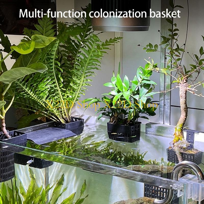 X22D Modern Antik Dikey Bitki  - Plant Aquarium Pot incelemesi ve fiyatı