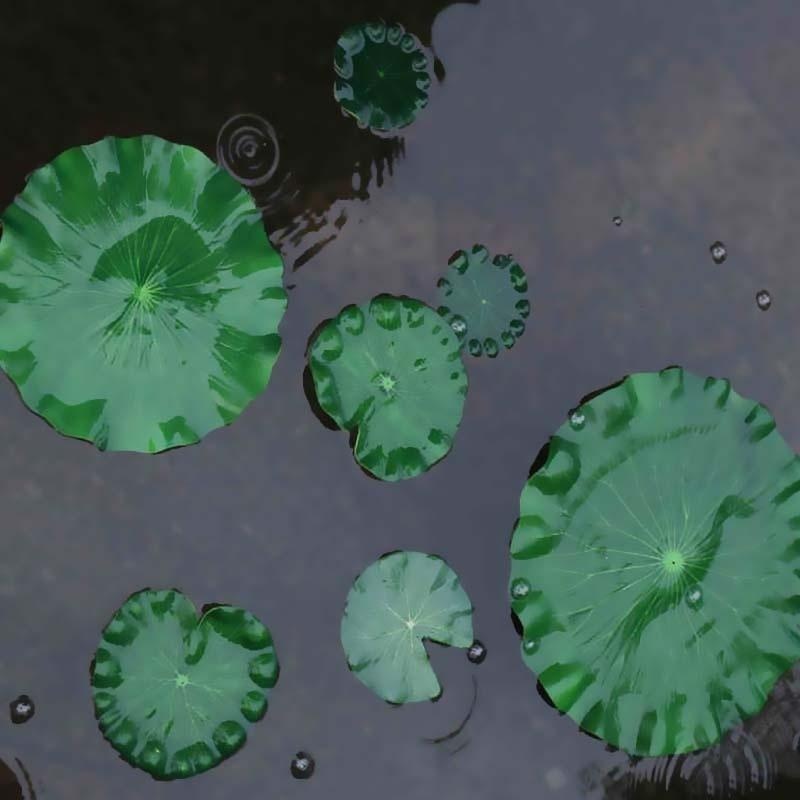 2026 Yapay Nilüfer Yaprakları  - Aquarium Plant Substrate incelemesi ve fiyatı