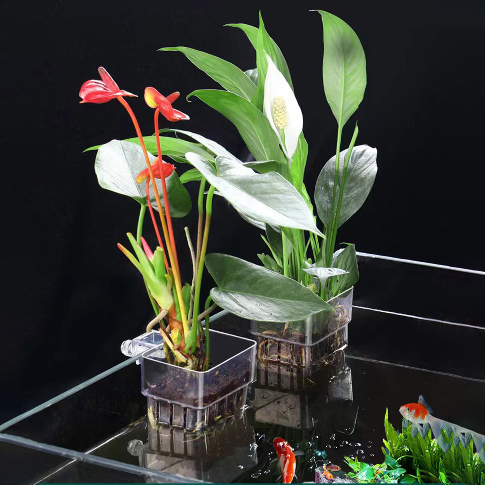 Şeffaf Akrilik Bitki Tutucu, B - Aquarium Plant Holder incelemesi ve fiyatı