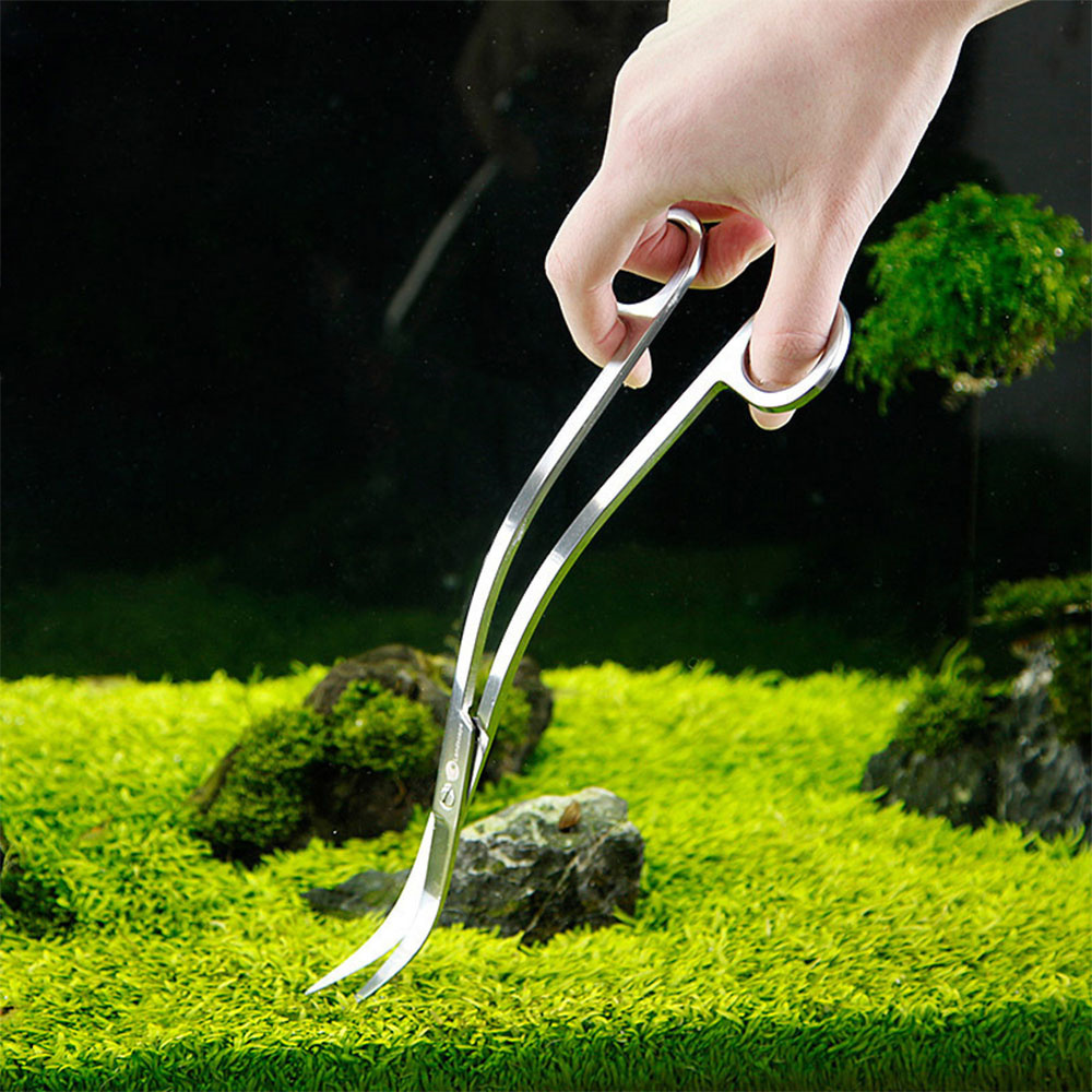 Akvaryum Aksesuarları Sert Pas - Planted Aquarium Cleaning incelemesi ve fiyatı