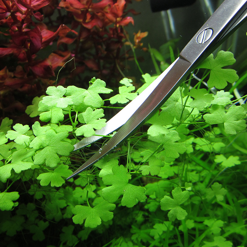 Akvaryum Aksesuarları Sert Pas - Planted Aquarium Cleaning incelemesi ve fiyatı
