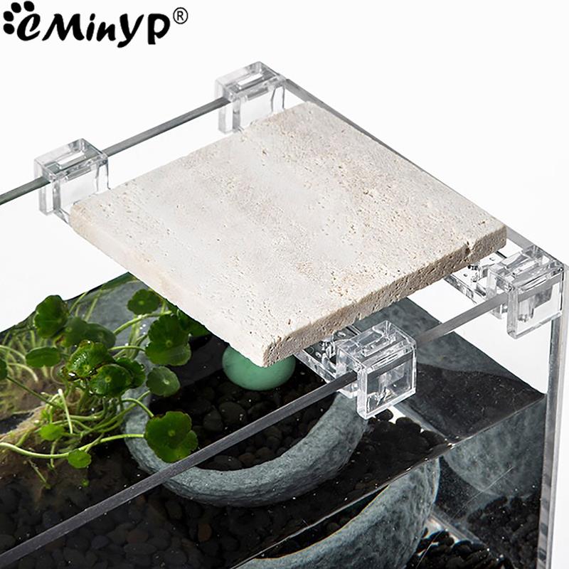 4 adet Balık Tankı Akrilik Kli - Aquarium Plant Holder incelemesi ve fiyatı