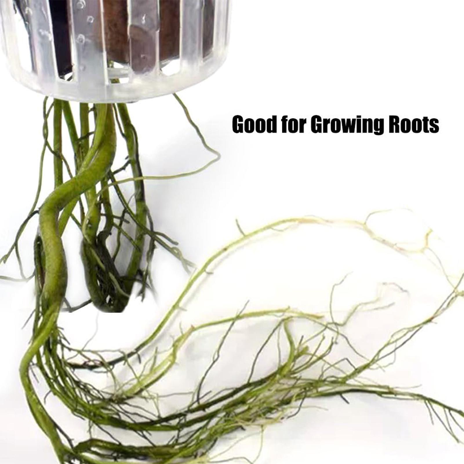 2 adet, delikli, asılabilir su - Plant Aquarium Pot incelemesi ve fiyatı