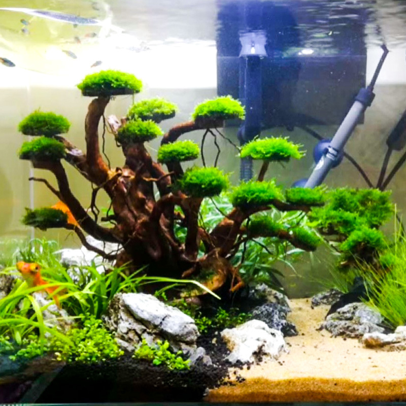 Akvaryum Peyzaj Süslemeleri Yo - Aquarium Plant Substrate incelemesi ve fiyatı