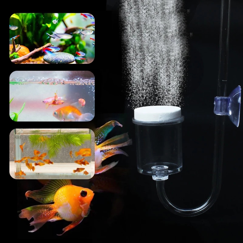 4 adet Set DIY CO2 difüzör içi - Live Plant Aquarium incelemesi ve fiyatı