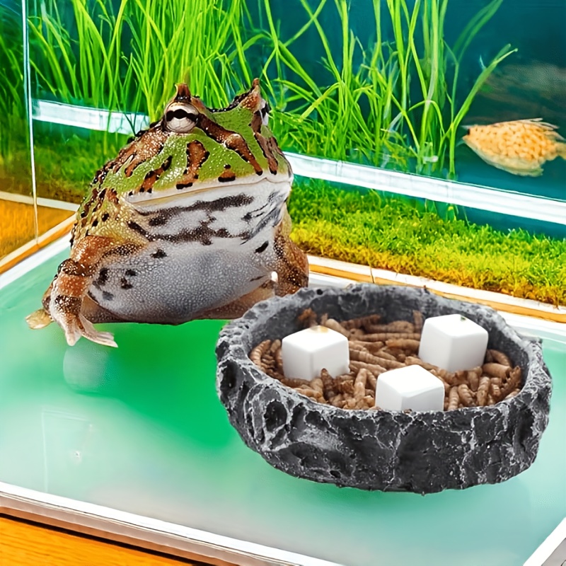 6 Adet Balık Tankı Kalsiyum Bl - Aquarium Plants Live incelemesi ve fiyatı