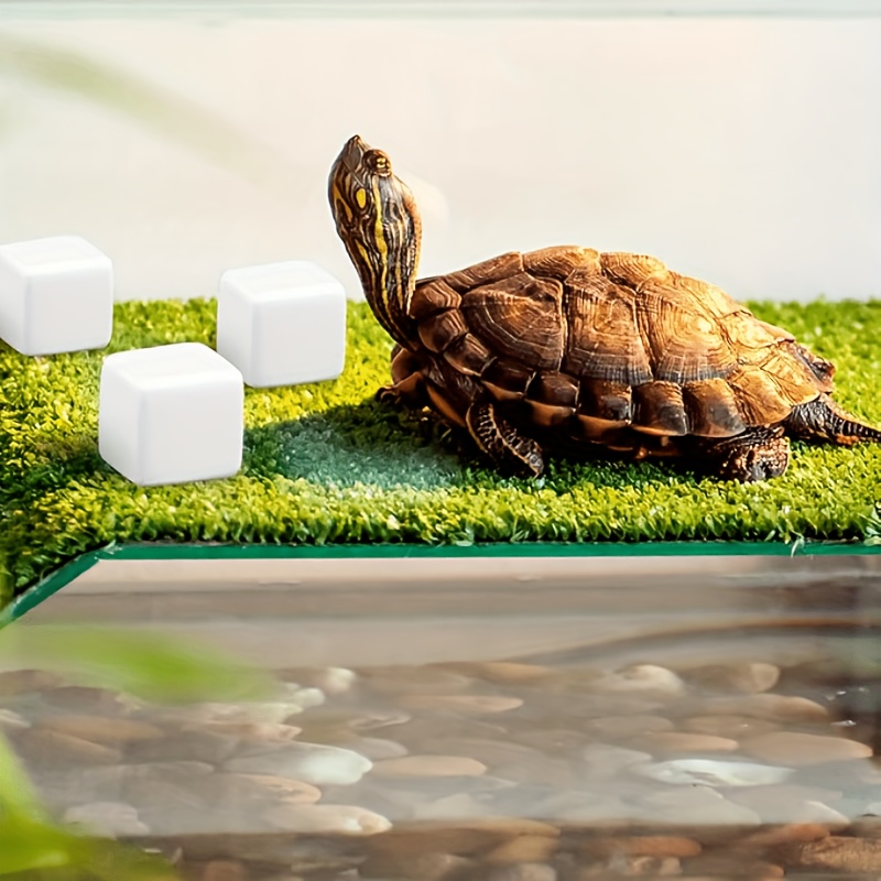 6 Adet Balık Tankı Kalsiyum Bl - Aquarium Plants Live incelemesi ve fiyatı