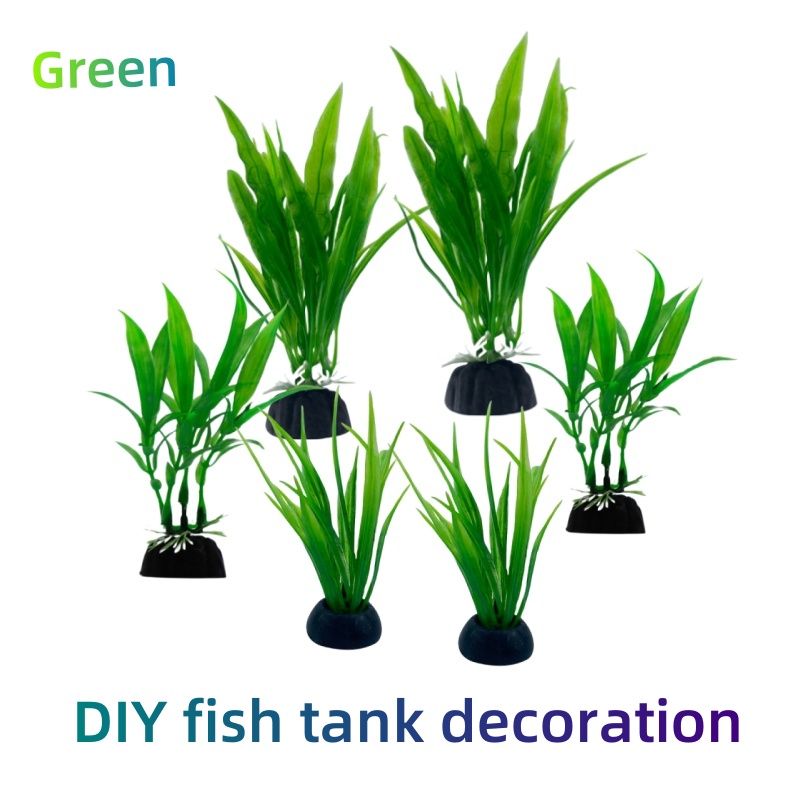 6 adetlik paketler halinde sun - Live Plant Aquarium incelemesi ve fiyatı