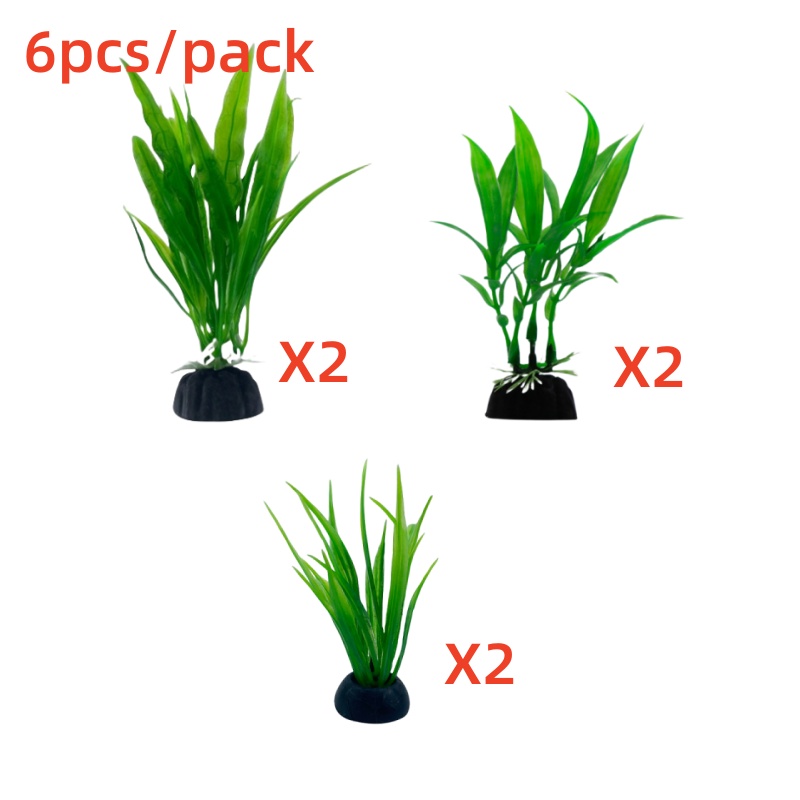 6 adetlik paketler halinde sun - Live Plant Aquarium incelemesi ve fiyatı